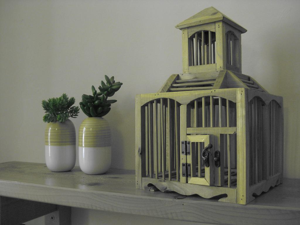 La Magnolia Bed & Breakfast Orvieto Bagian luar foto